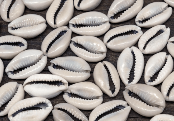 Shells