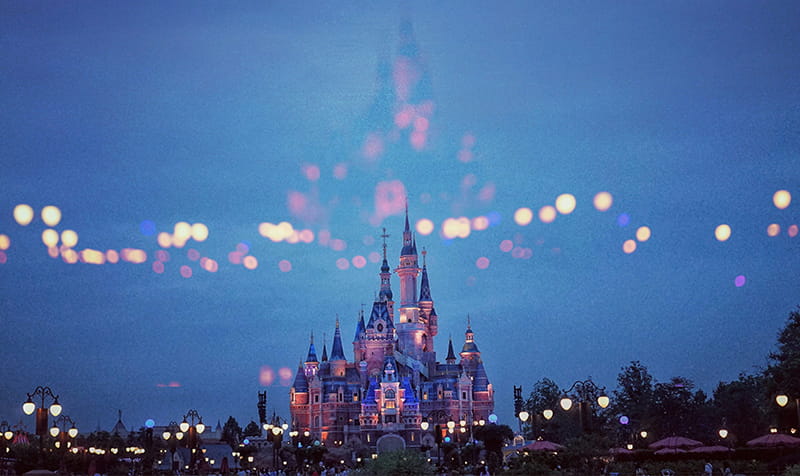 Disney Castle