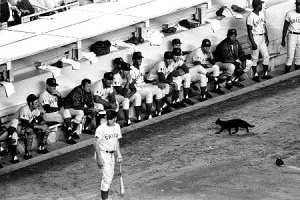 1969-Mets-Cubs-black cat game