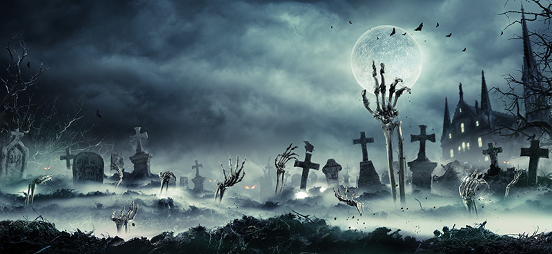 Day of the Dead...Investor